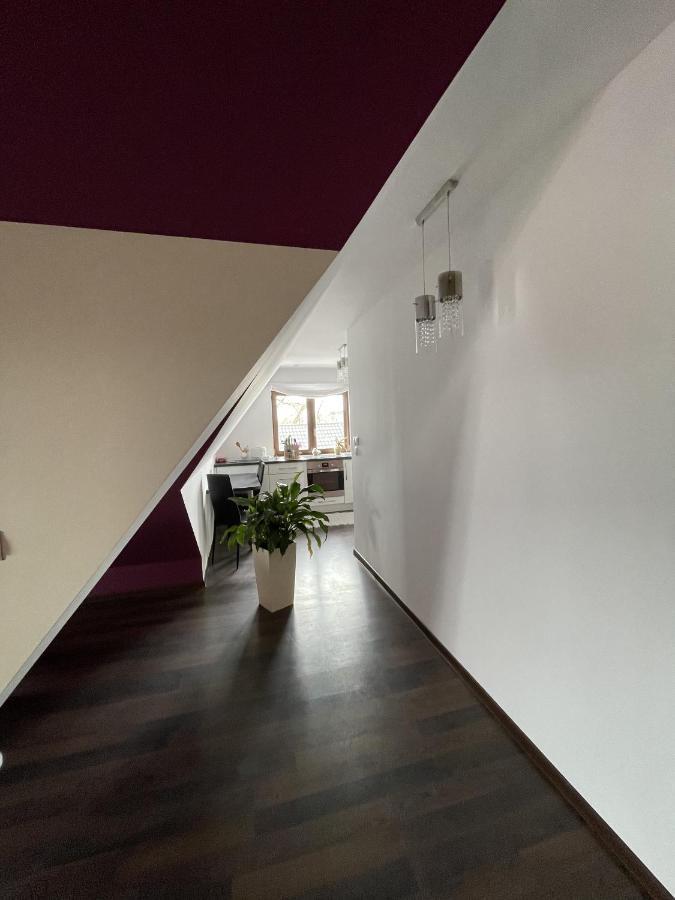 Apartament Podczerwone ชาร์นนี ดูนาเยส ภายนอก รูปภาพ